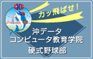 沖データコンピュータ教育学院